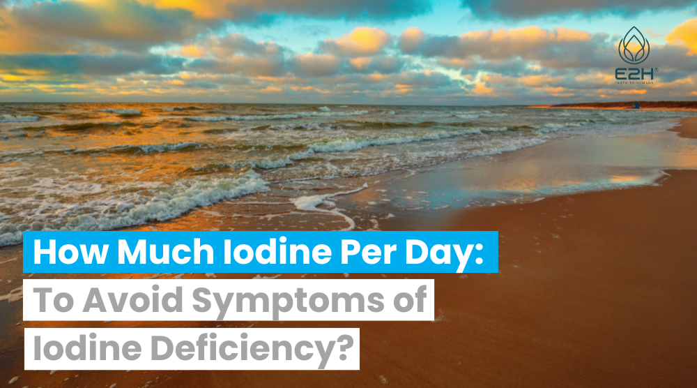 How Much Iodine per Day
