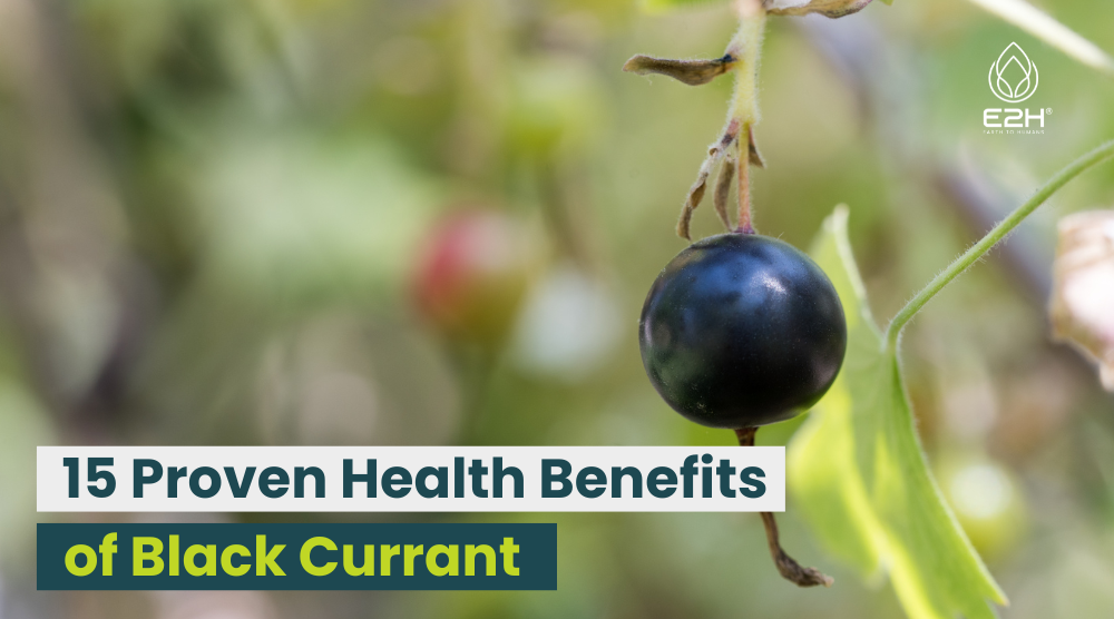 Black Currant on a Tree