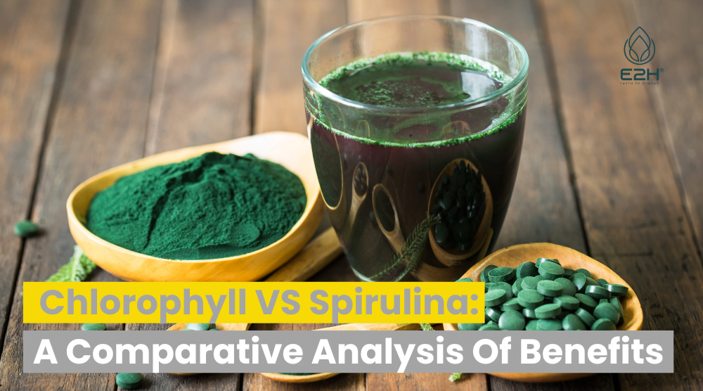 Chlorophyll vs Spirulina shown in liquid form and pills