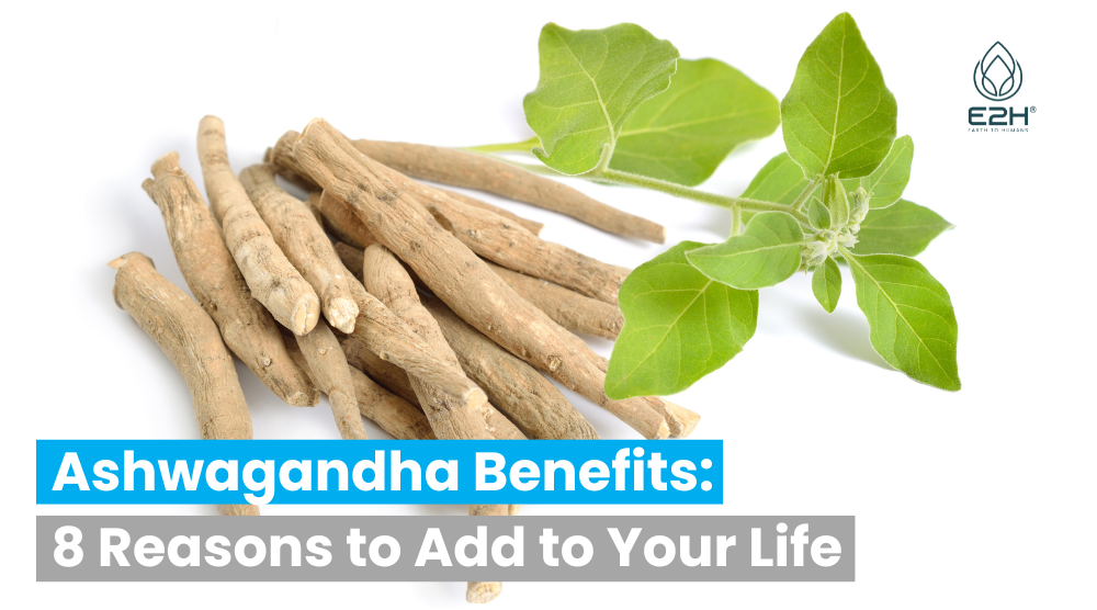 Ashwagandha Plant