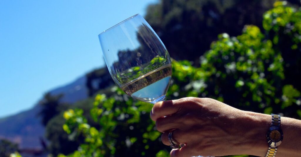 Does Chlorophyll Have A Taste? Optimal Explanation! 1 Does Chlorophyll Have A Taste