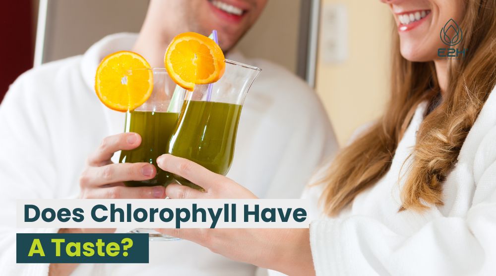 Does Chlorophyll Have A Taste? Optimal Explanation! 4 Does Chlorophyll Have A Taste