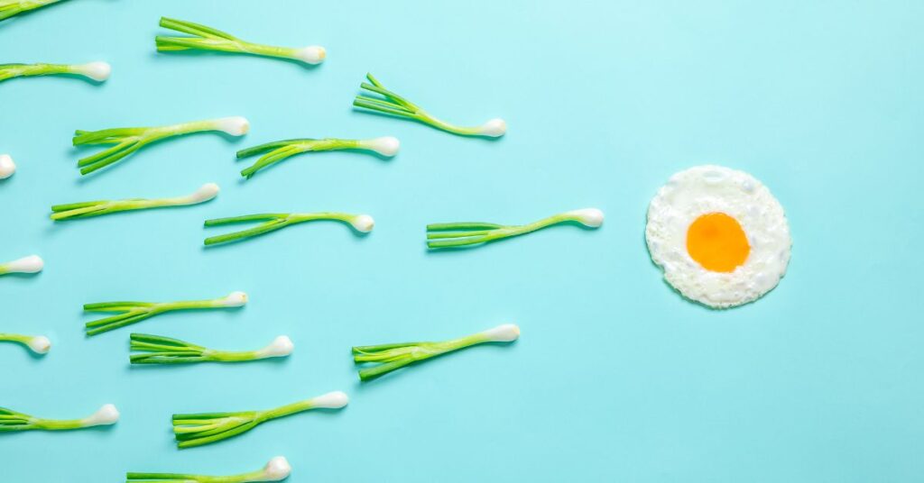 Does Chlorophyll Help With Fertility