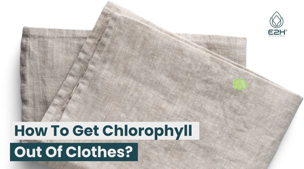 How To Get Chlorophyll Out Of Clothes? Best Ways