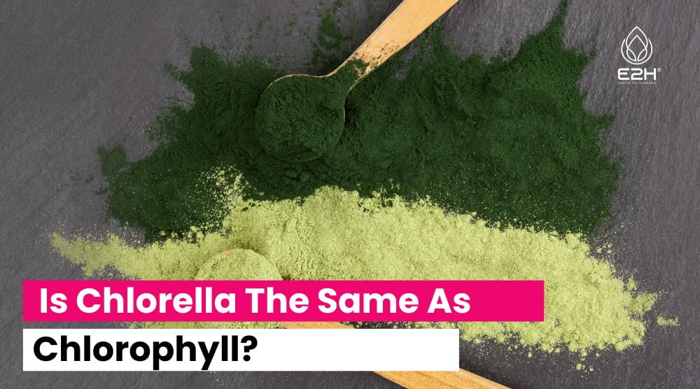 Is Chlorella The Same As Chlorophyll