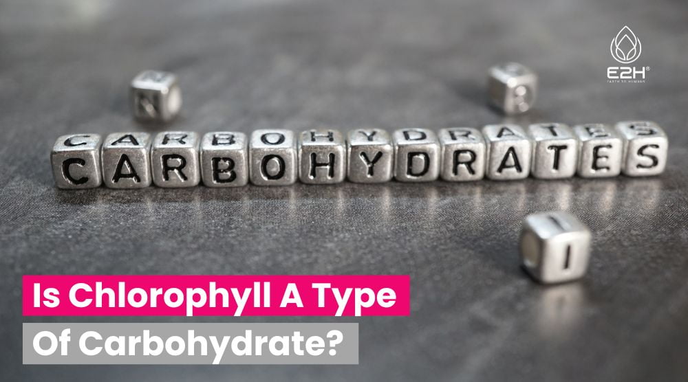 Is Chlorophyll A Type Of Carbohydrate