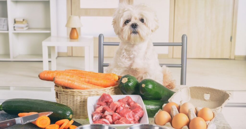 Is Chlorophyll Good For Dogs? Best Suggestion! 2 Pet's Diet
