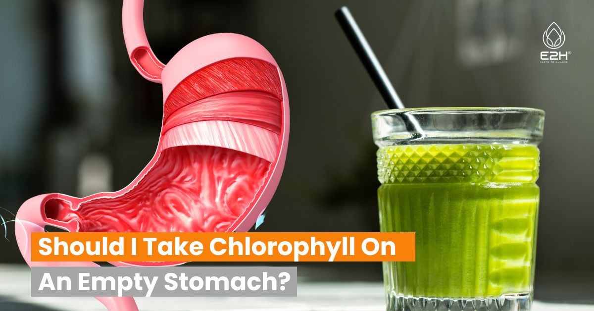 Should I Take Chlorophyll On An Empty Stomach?