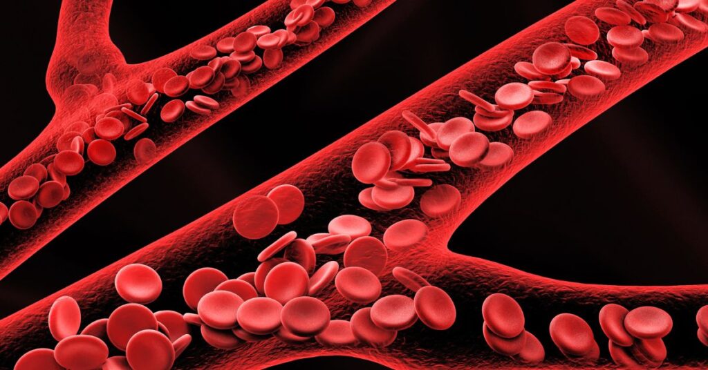 Similarity Between Chlorophyll And Hemoglobin