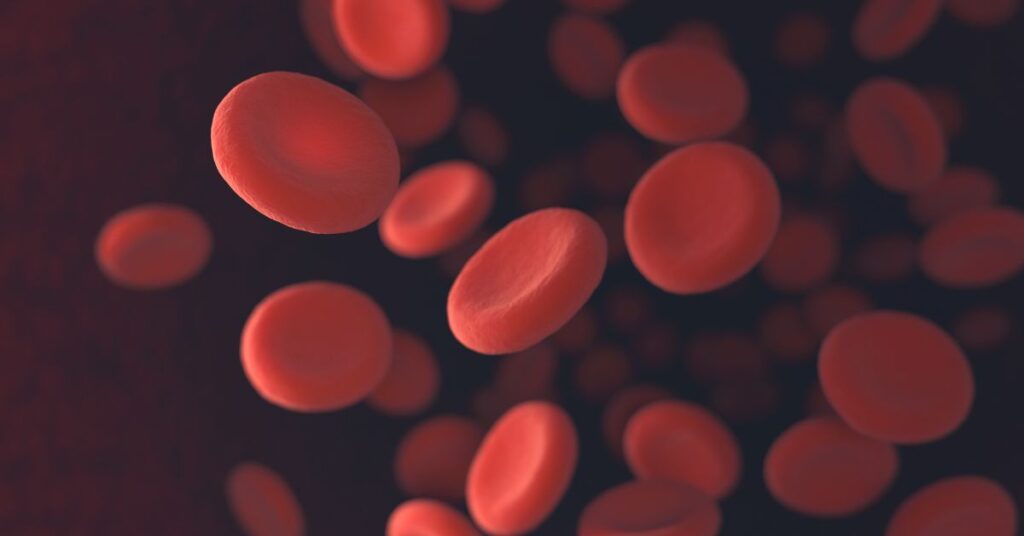 Is Chlorophyll Good For Dogs? Best Suggestion! 4 chlorophyll improve red blood cells