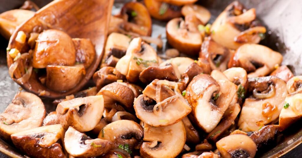 Antioxidant Benefits of Turkey Tail Extract