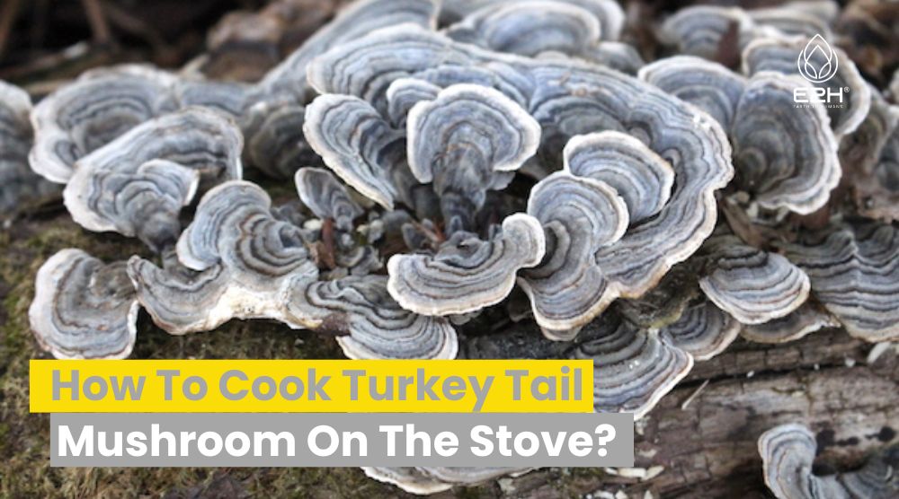 How To Cook Turkey Tail Mushroom On The Stove