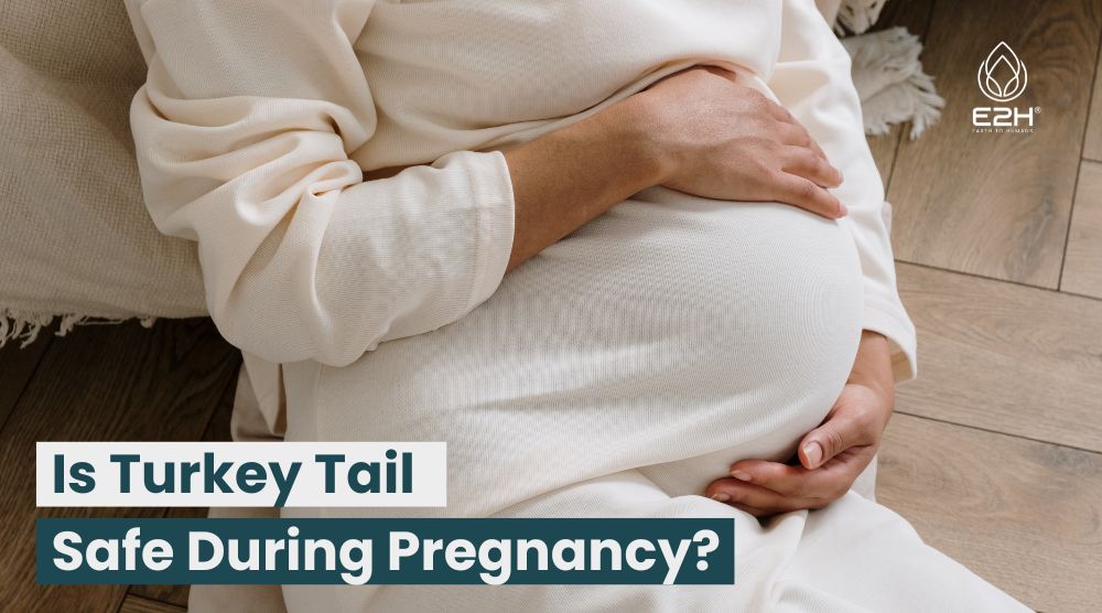 Is Turkey Tail Safe During Pregnancy?