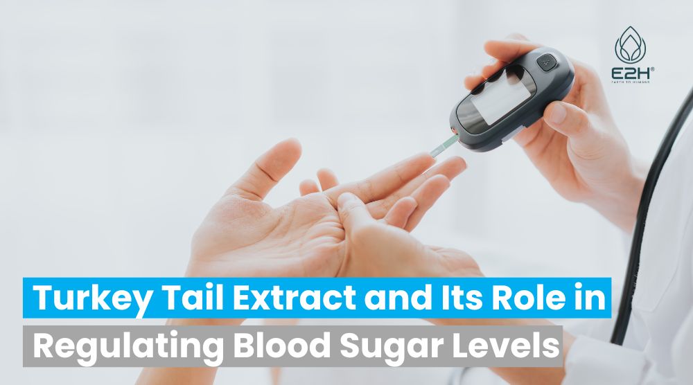 Turkey Tail Extract and Its Role in Regulating Blood Sugar Levels