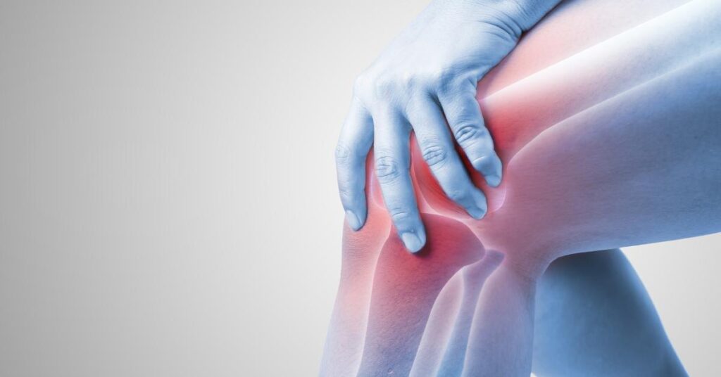 Turkey Tail Extract in Strengthening Bones and Joints