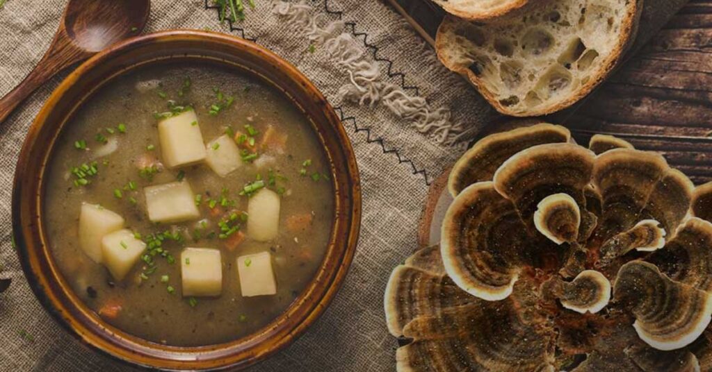 Turkey Tail Mushroom Soup Recipe