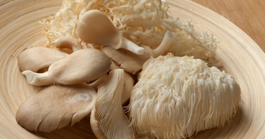 Can You Eat Lion's Mane Mushroom Raw