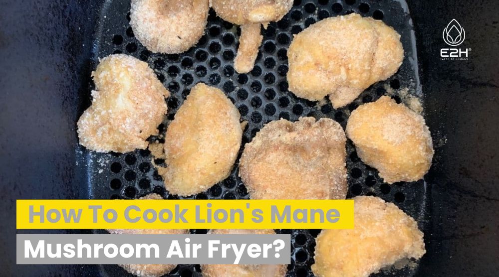 How To Cook Lion's Mane Mushroom Air Fryer? 11 How To Cook Lion’s Mane Mushroom Air Fryer?