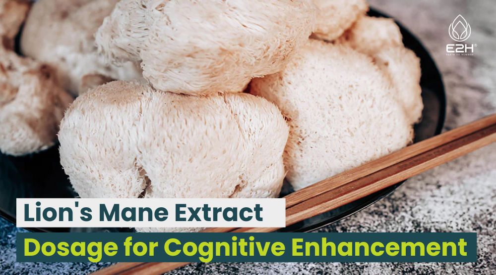 Lion's Mane Extract Dosage for Cognitive Enhancement 12 Lion’s Mane Extract Dosage for Cognitive Enhancement