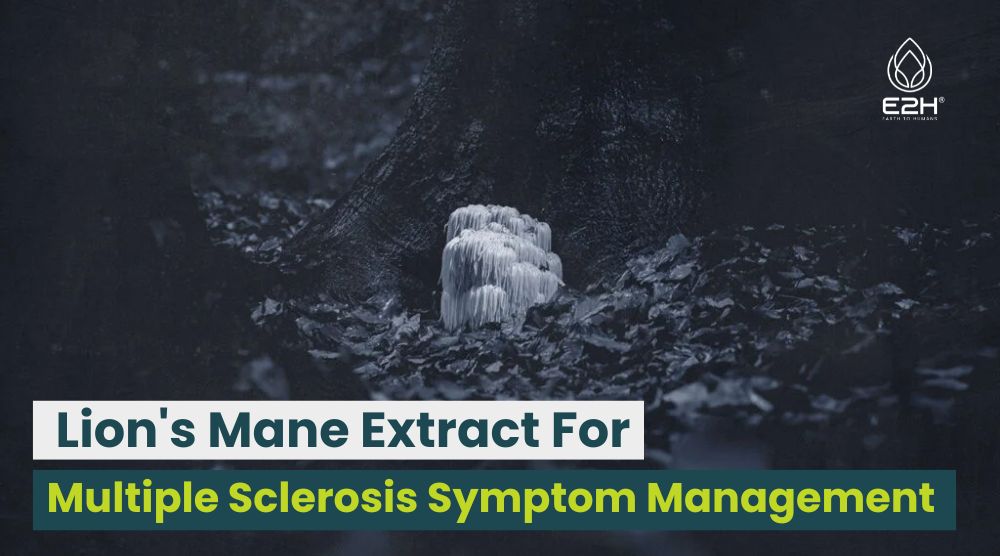 Lion's Mane Extract For Multiple Sclerosis Symptom Management