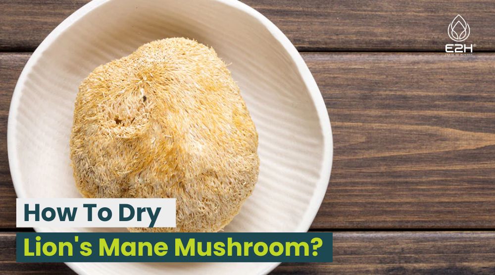 How To Dry Lion’s Mane Mushroom: Effective Techniques