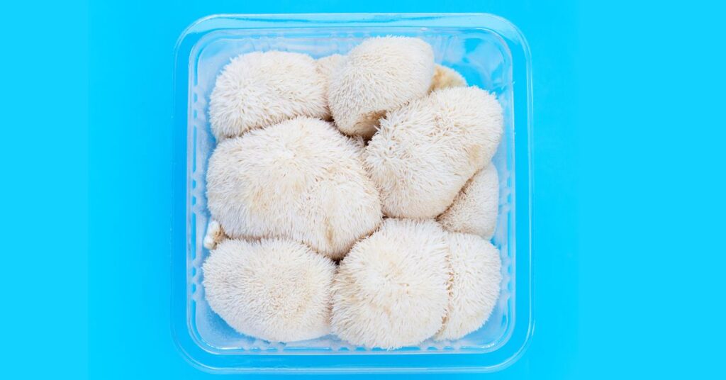 How To Freeze Lion's Mane Mushroom