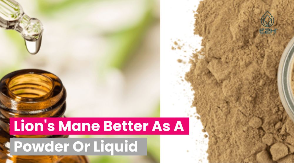 Lion’s Mane Better As A Powder Or Liquid?