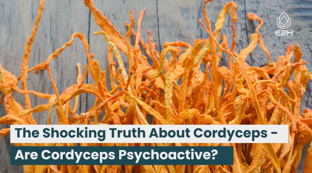 The Shocking Truth About Cordyceps – Are Cordyceps Psychoactive?
