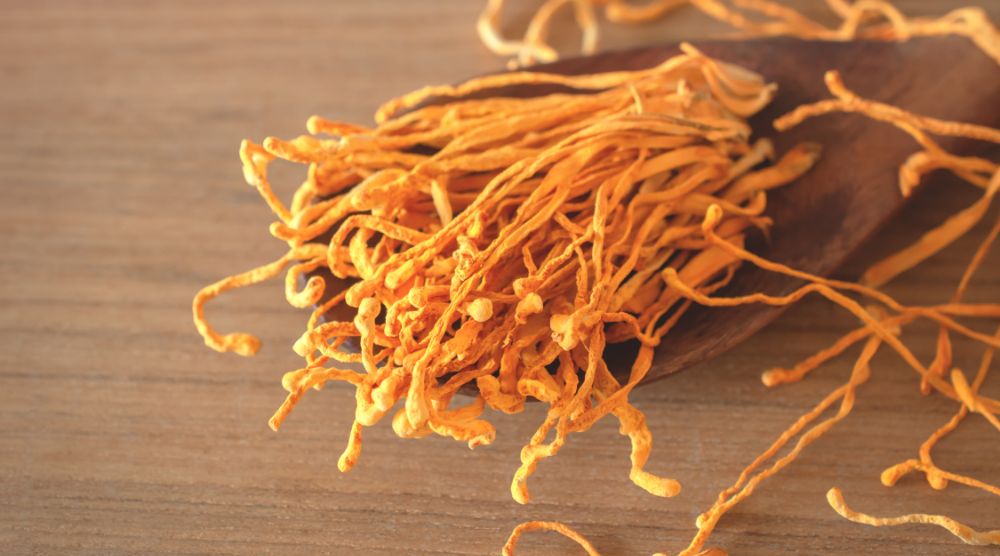Do Cordyceps Increase Testosterone: Unlock the Secrets! 1 Do Cordyceps Increase Testosterone