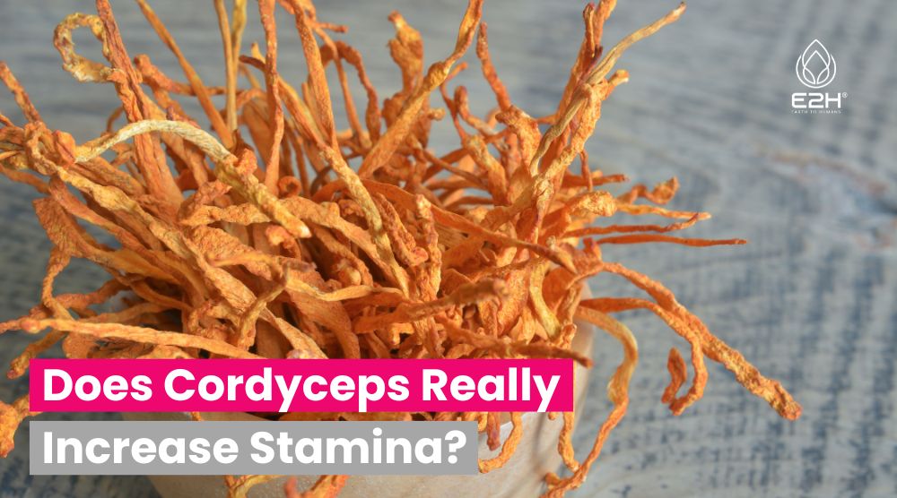 Does Cordyceps Increase Stamina: Secret To Unstoppable Stamina!