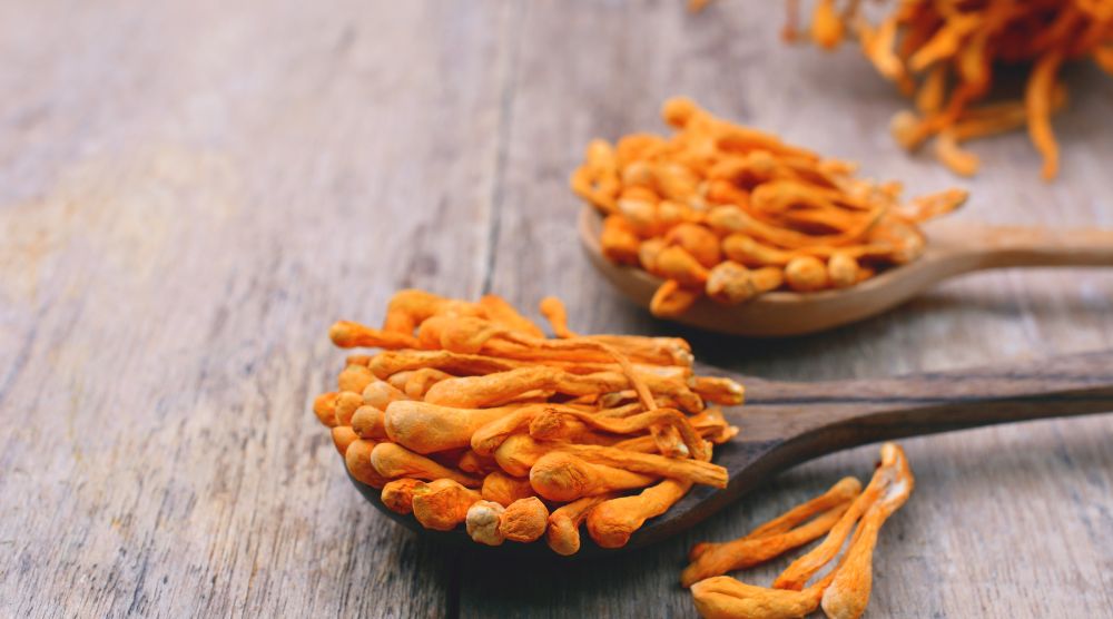 What Does Cordyceps Taste Like: The Hidden Delicacy You're Missing! 1 What Does Cordyceps Taste Like