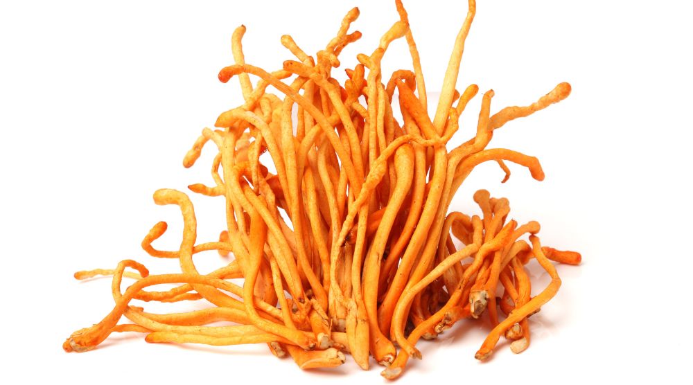 What Does Cordyceps Taste Like: The Hidden Delicacy You're Missing! 3 What Does Cordyceps Taste Like