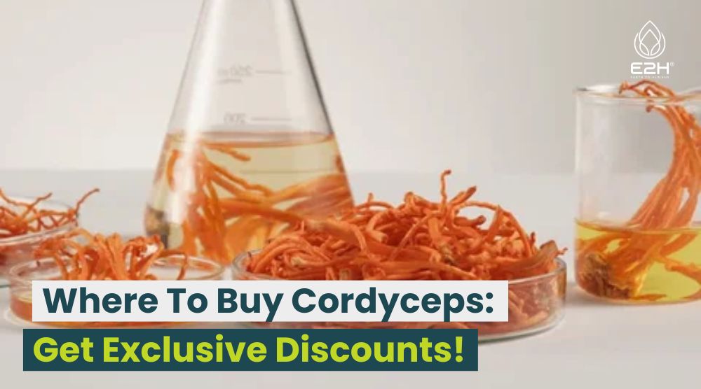 Where To Buy Cordyceps: Get Exclusive Discounts!