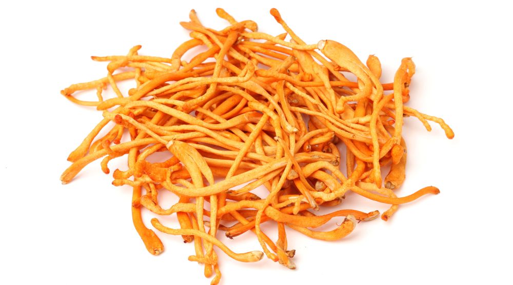 Can Cordyceps Be Bad For You? 1 Can Cordyceps Be Bad For You