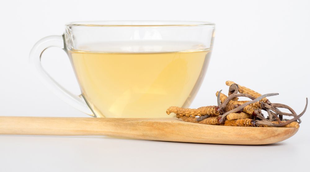 Does Cordyceps Help Asthma