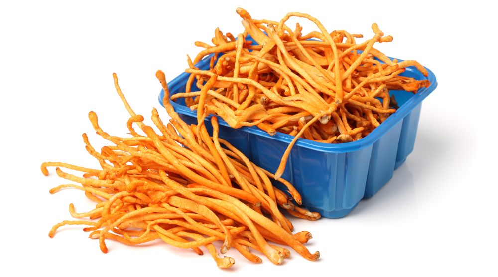 How To Make Cordyceps Extract? 3 How To Make Cordyceps Extract