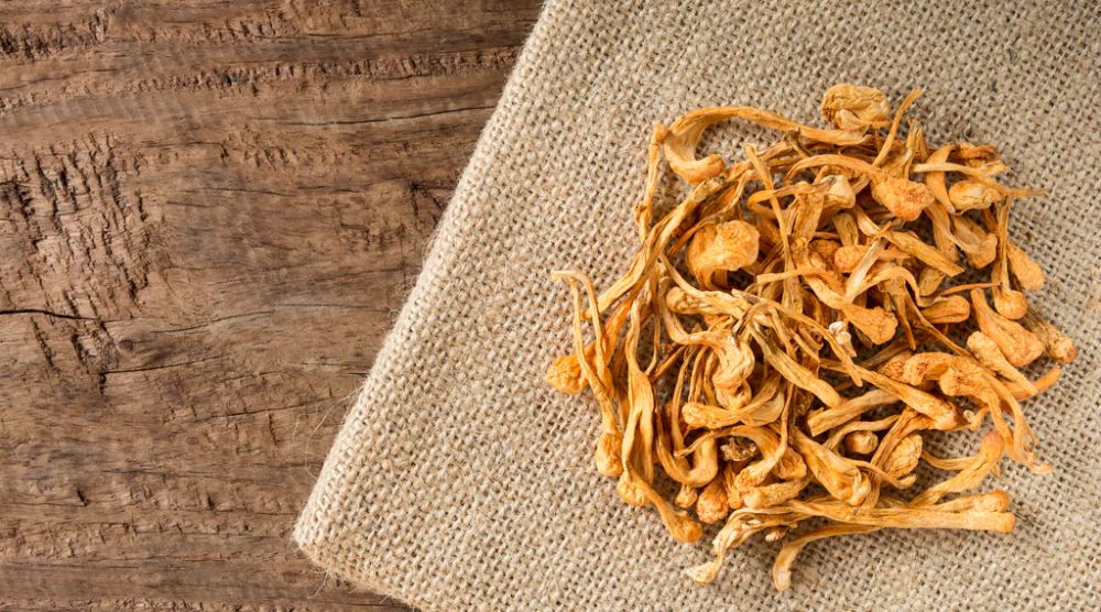 Is Cordyceps Extract a Natural Remedy For Low Libido? 1 Is Cordyceps Extract a Natural Remedy For Low Libido