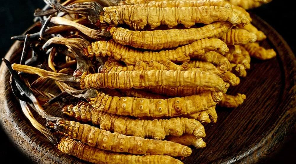 What Are The Nutritional Benefits Of Cordyceps? 2 What Are The Nutritional Benefits Of Cordyceps