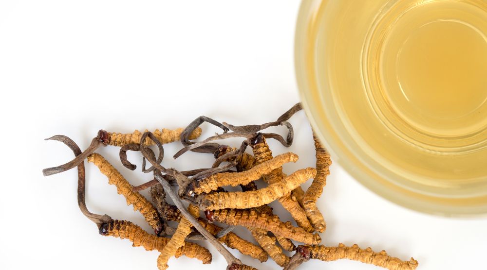 What Is Cordyceps Extract: Boost Your Day the Natural Way 2 What Is Cordyceps Extract