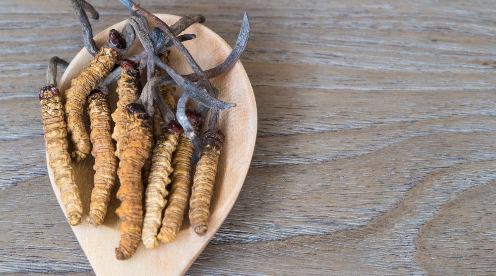 What Is Cordyceps Extract: Boost Your Day the Natural Way 4 What Is Cordyceps Extract