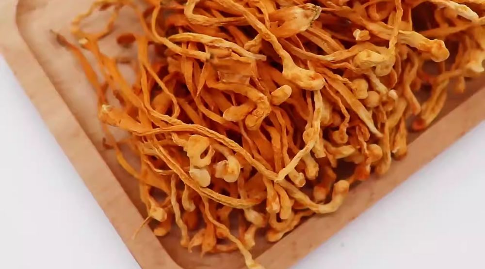 What Is Cordyceps Fruiting Body Extract? 3 What Is Cordyceps Fruiting Body Extract