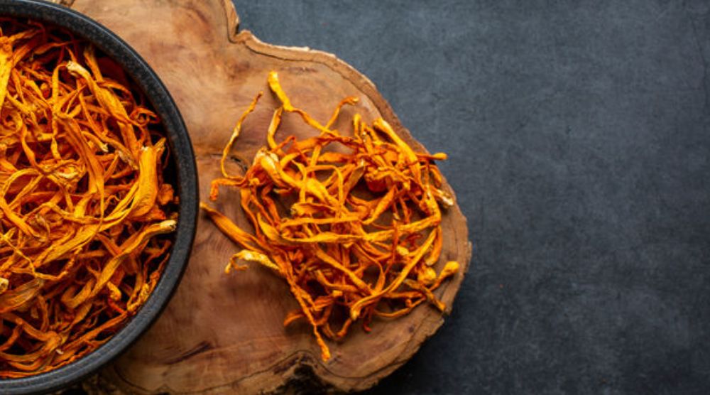 What Is Cordyceps Fruiting Body Extract? 1 What Is Cordyceps Fruiting Body Extract