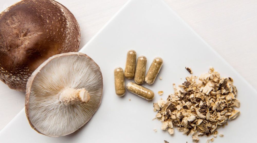 Are Reishi Mushrooms Psychedelic? 3 Are Reishi Mushrooms Psychedelic