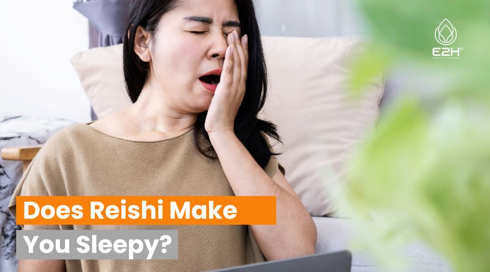 Does Reishi Make You Sleepy? 5 Does Reishi Make You Sleepy