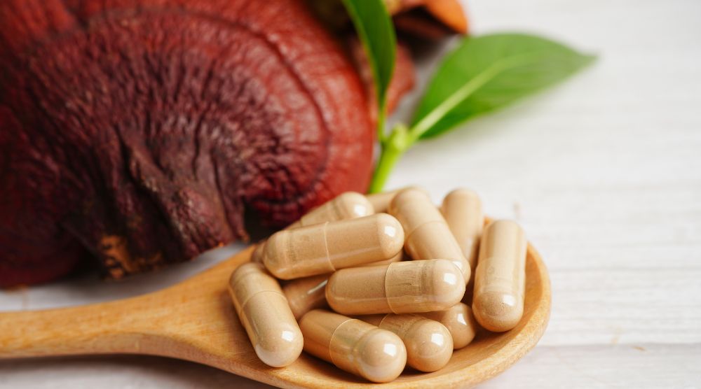 How Long Does It Take For Reishi Mushroom To Work? 2 or 3 weeks! 2 How Long Does It Take For Reishi Mushroom To Work