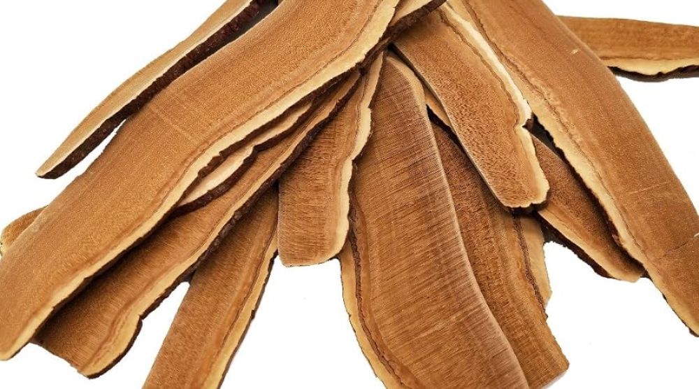 How To Dry Reishi Mushroom? 2 How To Dry Reishi Mushroom