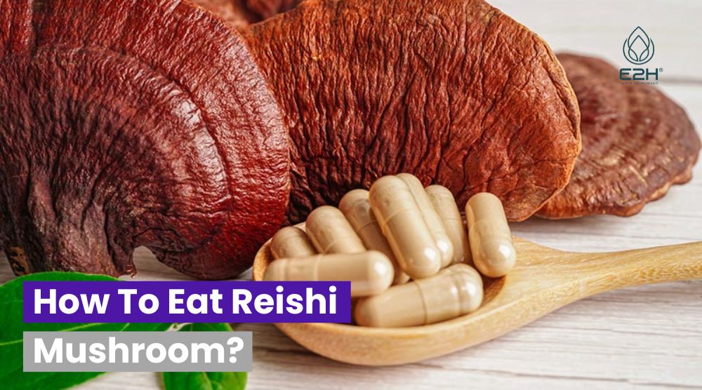 How To Eat Reishi Mushroom