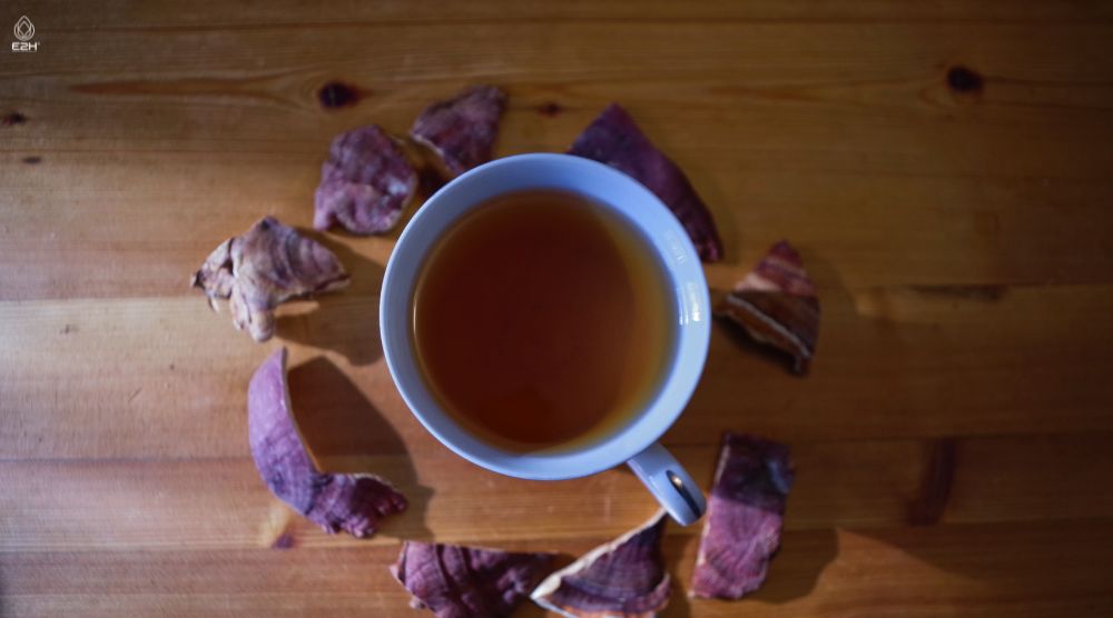 How To Make Reishi Tea? 1 How To Make Reishi Tea