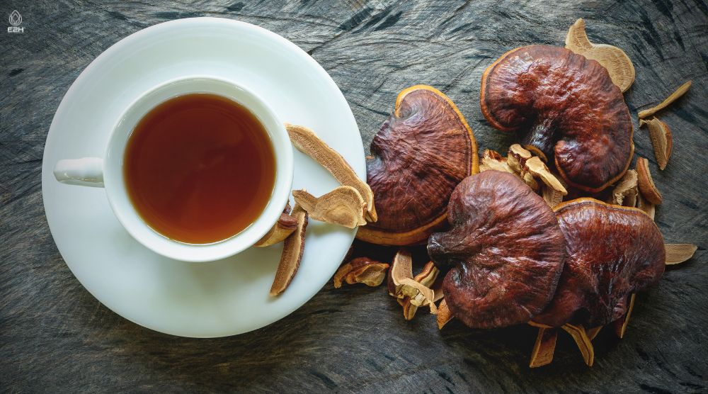 How To Make Reishi Tea? 2 How To Make Reishi Tea