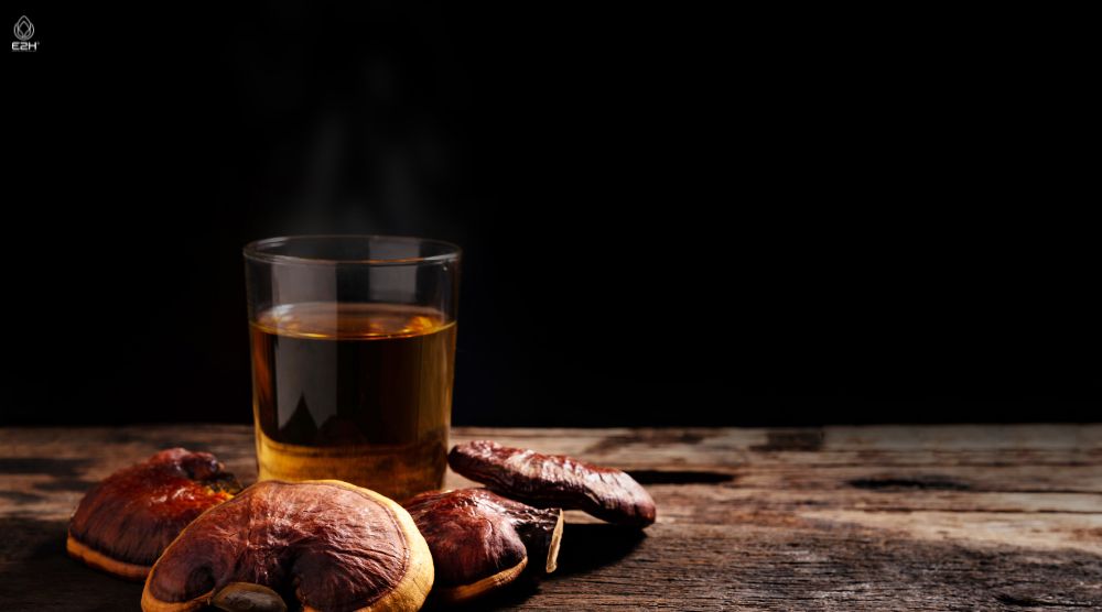 How To Make Reishi Tea? 3 How To Make Reishi Tea